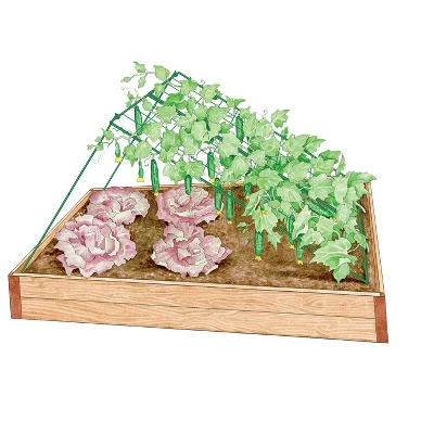 Medium Cucumber Trellis Green Plant Support For Cucumbers Garden Support For Vegetables - Green - Gardener's Supply Company 1 Medium Cucumber Trellis Green Plant Support For Cucumbers Garden Support For Vegetables - Green - Gardener's Supply Company