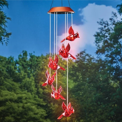 Collections Etc Sparkling Solar Hanging Cardinal Outdoor Garden Mobile 5 X 5 X 30 Red 1 Collections Etc Sparkling Solar Hanging Cardinal Outdoor Garden Mobile 5 X 5 X 30 Red