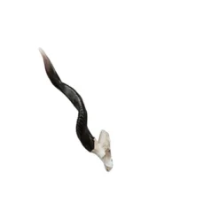 Design Toscano Kudu African Wall Trophy -Garden Furniture Store GUEST 2f711fc3 0c69 4b86 bf76 4e6d76499c6c