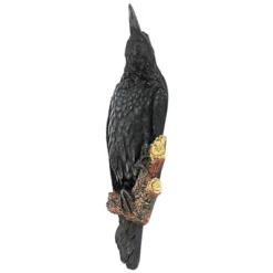 Design Toscano The Raven's Perch Wall Sculpture: Set Of Two 13 Design Toscano The Raven's Perch Wall Sculpture: Set Of Two -Garden Furniture Store GUEST 399aeeee 4a62 45ce b187 d4c9c6d56bda