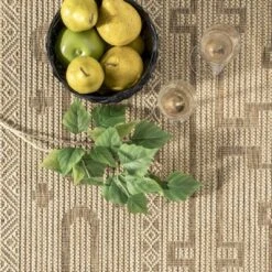 NuLOOM Brandy Transitional Celtic Indoor And Outdoor Patio Area Rug -Garden Furniture Store GUEST 49c21087 fb9a 4ae0 9f92 714af593d39f