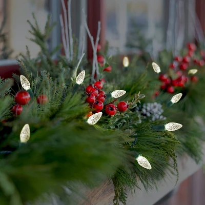 Philips 50ct LED Solar Faceted C6 String Lights Warm White With Green Wire 1 Philips 50ct LED Solar Faceted C6 String Lights Warm White With Green Wire