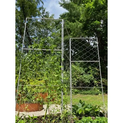 Gardener's Supply Company Chicken Wire Pea Trellis For Climbing Plants | Multi-Use Heavy Duty Outdoor Garden Peas, Tomato, Cucumber Plant Support | 1 Gardener's Supply Company Chicken Wire Pea Trellis For Climbing Plants | Multi-Use Heavy Duty Outdoor Garden Peas, Tomato, Cucumber Plant Support |