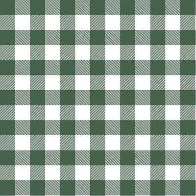 Classic Gingham Outdoor Throw Pillow Evergreen - Skyline Furniture 3 Classic Gingham Outdoor Throw Pillow Evergreen - Skyline Furniture - Image 3