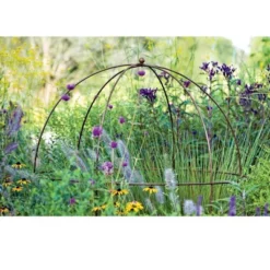 Gardeners Supply Company Jardin Bird Cage Plant Support | Large Sturdy Grow-Through Steel Flower Trellis And Garden Decor | Best To Support Peonies, -Garden Furniture Store GUEST 836c3e6b 1003 4cad 98af f17e48edbd87