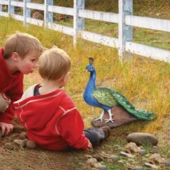 Design Toscano The Regal Peacock Garden Statue - Multicolored 5 Design Toscano The Regal Peacock Garden Statue - Multicolored -Garden Furniture Store GUEST 84af9a63 c899 477b b8b4 36fbc1d39e7a