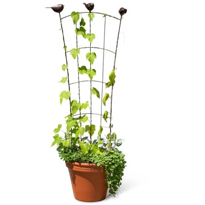Gardener's Supply Company 'Flock Of Friends' Garden & Container Pot Trellis | Sturdy Steel Frame For Climbing Vining Plants & Flowers - 48" High 1 Gardener's Supply Company 'Flock Of Friends' Garden & Container Pot Trellis | Sturdy Steel Frame For Climbing Vining Plants & Flowers - 48" High
