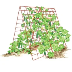 Deluxe Cucumber Trellis 9 Deluxe Cucumber Trellis -Garden Furniture Store GUEST 9bdaecf6 347d 48c6 950d 2fd9b882c806