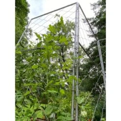 Gardener's Supply Company Chicken Wire Pea Trellis For Climbing Plants | Multi-Use Heavy Duty Outdoor Garden Peas, Tomato, Cucumber Plant Support | 5 Gardener's Supply Company Chicken Wire Pea Trellis For Climbing Plants | Multi-Use Heavy Duty Outdoor Garden Peas, Tomato, Cucumber Plant Support | -Garden Furniture Store GUEST ab7477bf 9d33 45a3 9b47 25a12d6b9070