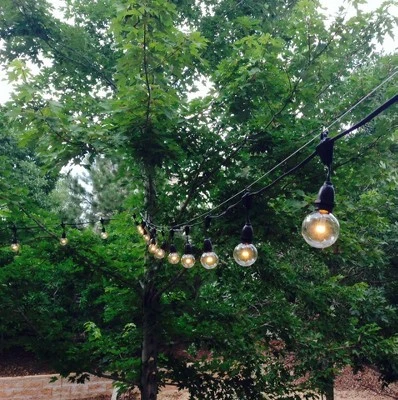 Novelty Lights Globe Outdoor String Lights With 100 Suspended Sockets Suspended Black Wire 100 Feet 4 Novelty Lights Globe Outdoor String Lights With 100 Suspended Sockets Suspended Black Wire 100 Feet - Image 4