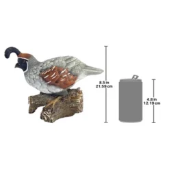 Design Toscano Coco, The Quail Bird Statue