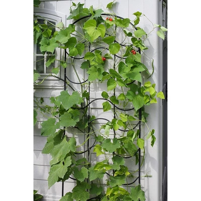 Achla Designs FT-16 23.5 Inch Wide 77 Inch Tall Waves Decorative Wrought Iron 3 Piece Garden Lattice Trellis With Extension For Climbing Plants, Black 2 Achla Designs FT-16 23.5 Inch Wide 77 Inch Tall Waves Decorative Wrought Iron 3 Piece Garden Lattice Trellis With Extension For Climbing Plants, Black - Image 2