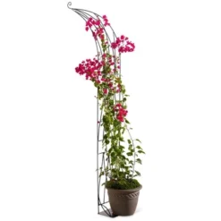 VegTrug™ Slimline Half Arch 5 VegTrug™ Slimline Half Arch -Garden Furniture Store GUEST f6d3ae43 33df 426d a38c d6f446a91a78